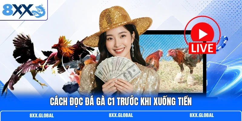 Cách đọc đá gà c1 trước khi xuống tiền