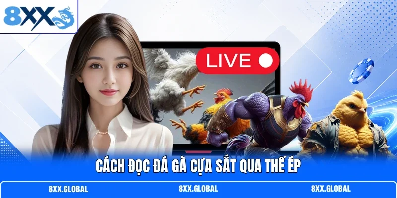 Cách đọc đá gà cựa sắt qua thế ép