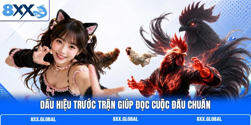Dấu hiệu trước trận giúp đọc cuộc đấu chuẩn