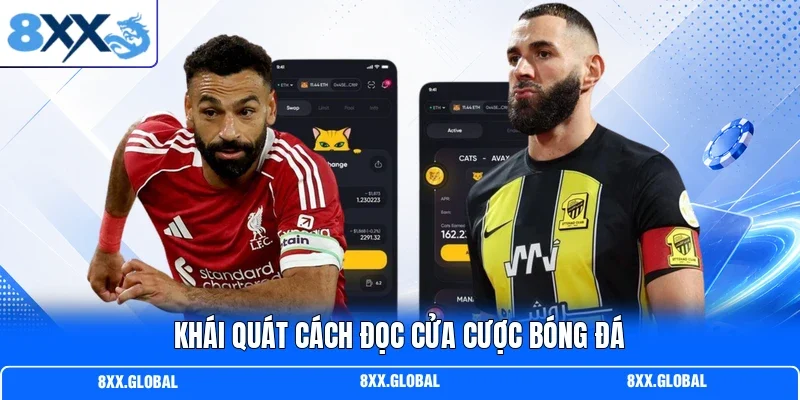 Khái quát cách đọc cửa cược bóng đá