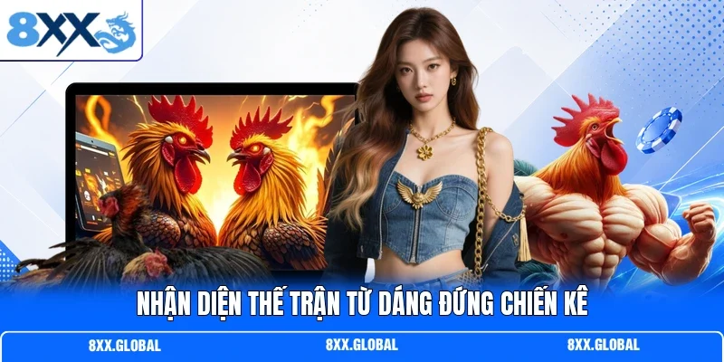 Nhận diện thế trận từ dáng đứng chiến kê